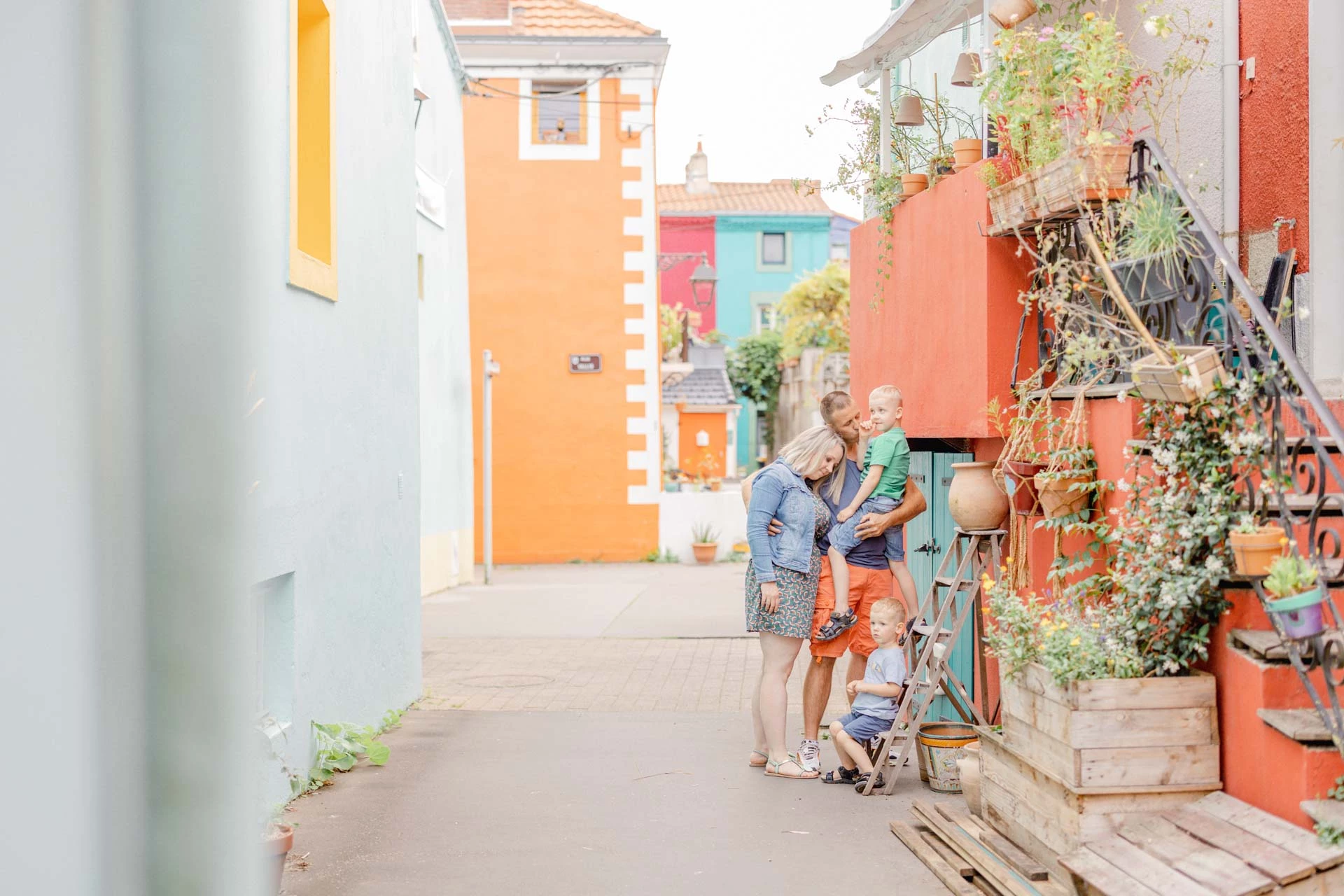orange plante d'intérieur gris marron fleurs